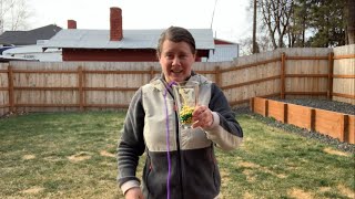 Science from Home: Gravity Beads
