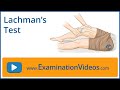 Lachman's Test