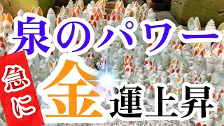 【⚠️金運上昇】神秘的‼️金色に輝く泉からのパワーを浴びたら急に金運が上昇します。Shirasasa Inari Shrine, Hadano City, Kanagawa