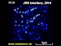 GMcellModel - fluorescent molecules randomly moving in cytoplasm transiently bind to filaments