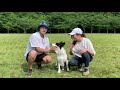 愛犬の為にフリスビーを綺麗に投げよう♪