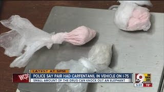 Police say pair had carfentanil in vehicle on I-75