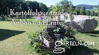 Anbau und Ernte bei der Kartoffelpyramide