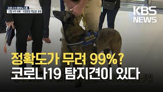 [글로벌K] “정확도 99%” 미국 마이애미 공항, 코로나19 탐지견 투입 / KBS 2021.09.13.