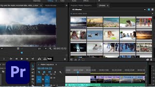 After Effects & Premiere Pro Integration w/ CC Libraries & Adobe Stock | Adobe Creative Cloud