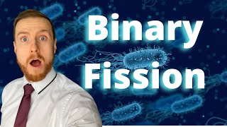 BINARY FISSION AQA A-Level Biology 2022