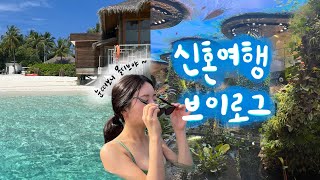 🇲🇻몰디브 신혼여행🇲🇻 올인클루시브 뽕뽑기 | 5박6일 식사 주류 공짜 700만원대가 가성비 리조트!?🏖️ㅣ매끼마다 뷔페먹고 수영하고 칵테일 마시는 신선놀음