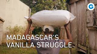 The Dark Side of Vanilla: The Fight for Madagascar's Brown Gold | Full Documentary