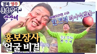 [홍보장사 만만세] 자연을 담은 건강한 사과 - 경북 영주 [6시 내고향] | KBS 211109 방송