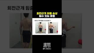 회전근개 힘줄 손상될 수 있는 운동