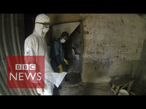 Surviving Ebola Bbc Documentary 2015 Documentarytube
