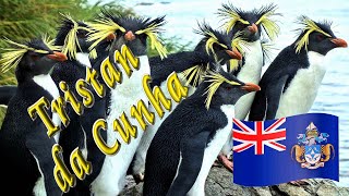 🐧 Voyage to Tristan da Cunha