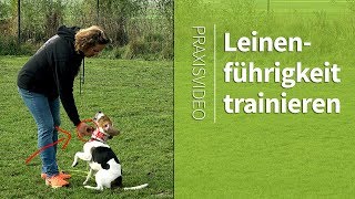 Leinenführigkeit ► 3 Denkansätze, die dir beim Leinenführigkeit Trainieren helfen! Praxisvideo!