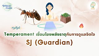 Temperament เชื่อมโยงพลังธาตุกับการดูแลจิตใจ : SJ (Guardian) 🐜