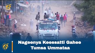 Nageenya Keessatti Gahee Tumsa Ummataa