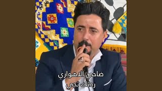 Radetak Tegy - ردتك تجي