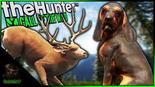 Tracking A Diamond Potential Mule Deer With Our Bloodhound! Bloodhound Early Access Gameplay