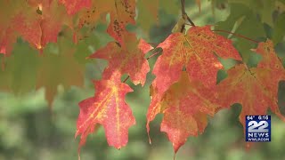 October weather forecast for western Massachusetts looking warm