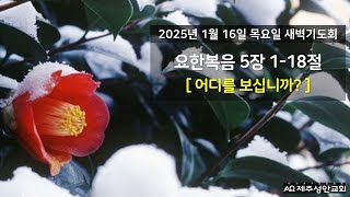 제주성안교회 1월 16일 목요일 새벽기도회