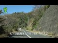 【4k】江田島市内探訪その12～大柿町大君　県道121号線（大君深江線）の桜～