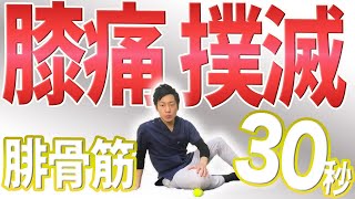 膝痛撲滅!!30秒腓骨筋リリース【膝の痛み 治し方】大和市中央林間の整体院蒼