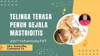 Telinga Terasa Penuh Gejala Mastoiditis @DrTYohanitaSpTHT