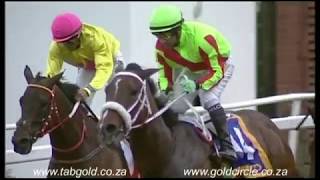 20171126 Greyville Race 8 won by FILIPPO