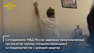 Задержан предполагаемый организатор группы, специализирующейся на мошенничестве с арендой квартир