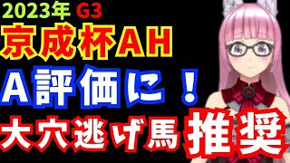 【2023年】京成杯オータムハンデ 予想！A評価推奨は牝馬の3歳馬！