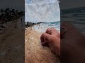Beach and seagulls in watercolor