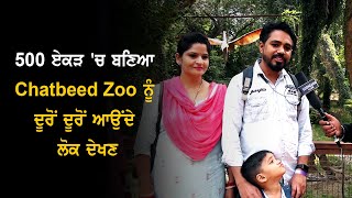 500 ਏਕੜ 'ਚ ਬਣਿਆ Chatbeed Zoo ਨੂੰ ਦੂਰੋਂ ਦੂਰੋਂ ਆਉਂਦੇ ਲੋਕ ਦੇਖਣ