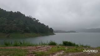 #vagamon #anjurulitunnel Anjuruli tunnel, Vagamon, Kerala