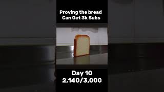 Proving The Bread Can Get 3k Subscribers #edit #memes #shorts #bread