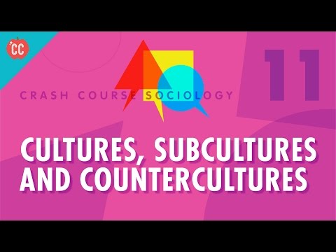 What are some examples of Countercultures?