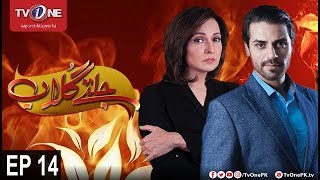 Jaltay Gulab | Episode 14 | TV One Classics | 23rd November 2017