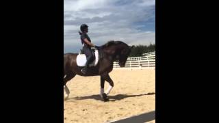 Lientje Schueler clinic with Peeves