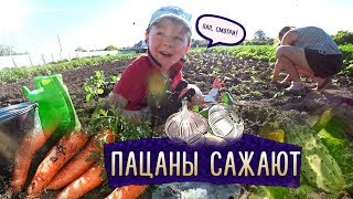 Деревенские будни / Очередной огородный влог / Пацаны сажают рассаду