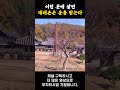 이런 곳에 살면 대대손손 운을 받는다 shorts