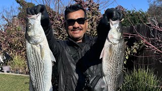 Fishing at the San Joaquin Delta, Trolling for stripers