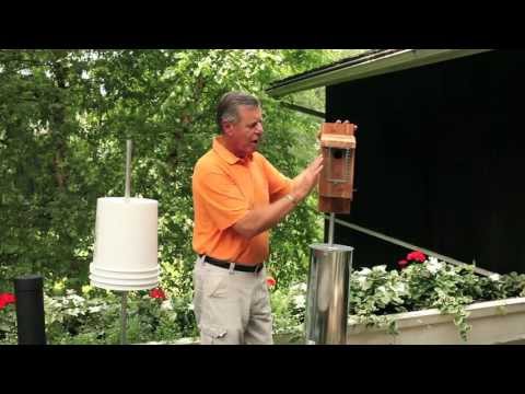 Bluebird predator guards - protect your Bluebird nest Bluebird predator guards - protect your Bluebird nest
