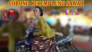 corong kecemplung sawah ## sedap malam sragen