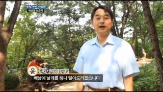 팡팡 아이디어열전 31화 듀라팩 소개캡쳐