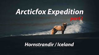 Arctic Fox Expedition to Hornvik Episode 01 | Expedition to Hornstrandir Nature Reserve in Iceland