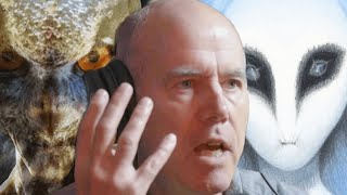 Disturbing Connections Between Owls & Aliens | Mike Clelland