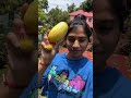 എന്റെ വീട്ടിലെ variety fruits കണ്ടാലോ ✨🥰