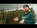 Welcome to Blueprint Cannabis || Cannabis 101 (4K)