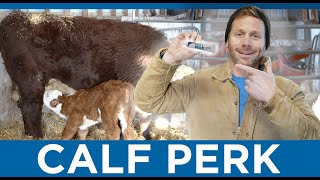 Calf Perk - Feature Product Friday