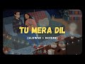 Tu Mera Dil [Slowed + Reverb] - Falak Shabir