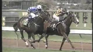 1996 VRC Super VOBIS Sires' Produce Stakes