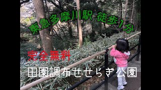 【田園調布せせらぎ公園】東急多摩川駅徒歩1分　都会的かつ自然満載の公園　また一緒に行きたい。